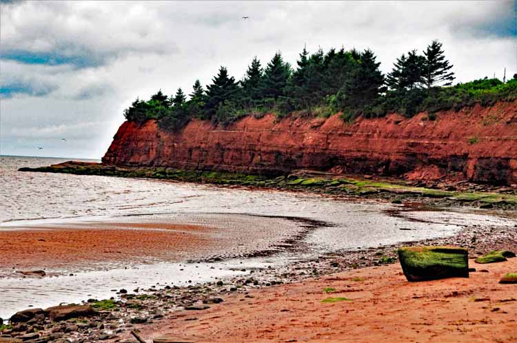 seashore